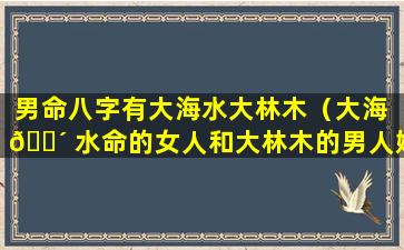 男命八字有大海水大林木（大海 🐴 水命的女人和大林木的男人婚姻幸福吗）